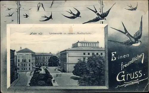 Passepartout Ak Halle an der Saale, Schwalben, Universität m. neuem Auditorium