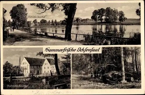 Ak Dahlen Sachsen, Sommerfrische Ochsensaal, Fröhlichs Gasthof, Mühlenteich, Weg zum Quellental