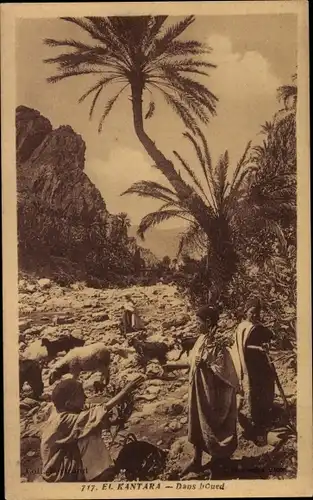 Ak El Kantara Algerien, Einheimische, Schafe