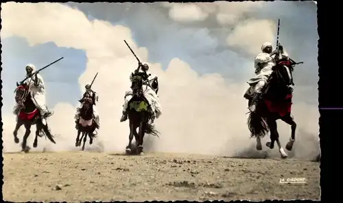 Ak Scenes et Types, Cavaliers Indigenes, Maghreb, Pferde