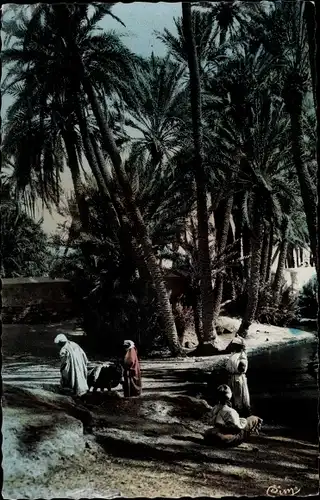 Ak Marokko, Scenes et Types, Au bord de l'oued dans l'oasis