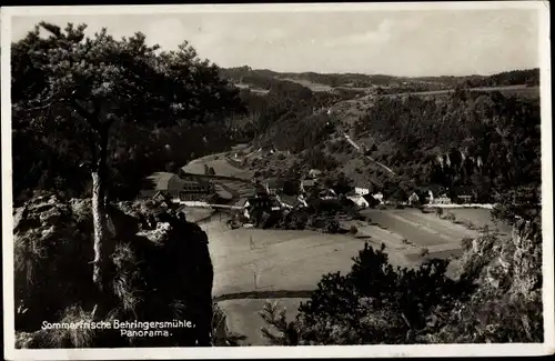 Ak Behringersmühle Gößweinstein in Oberfranken, Panorama