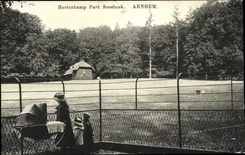 Ak Arnhem Gelderland Niederlande, Hertenkamp Park Sonsbeek