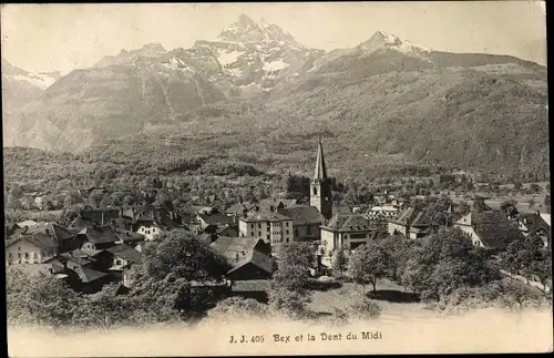 Ak Bex Kanton Waadt, Panorama, La Dent du Midi