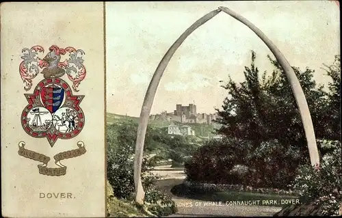 Ak Dover Kent England, Jaw Bones of Whale, Connaught Park, Wappen Dover