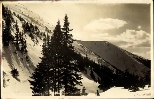 Ak Riesengebirge Region Königgrätz, Weißwassergrund, Winterwald