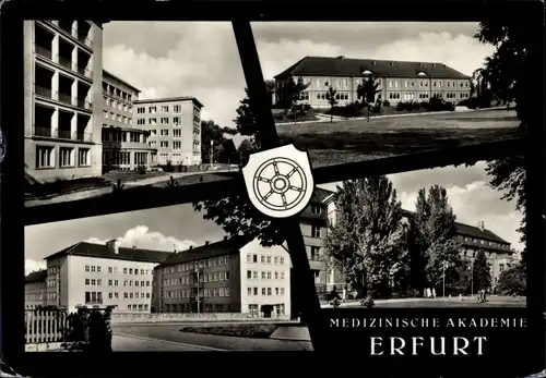 Ak Erfurt in Thüringen, Medizinische Akademie, Kliniken, Wappen