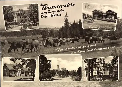 Ak Friedrichroda im Thüringer Wald, Hohe Sonne, Dreiherrenstein, Heuberghaus, Inselberg, Spiessberg