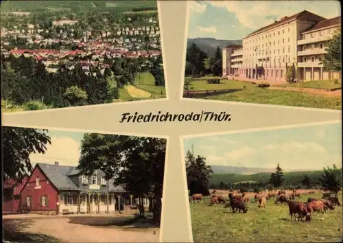 Ak Friedrichroda im Thüringer Wald, FDGB-Heim, Heuberghaus, Am Rennsteig, Kuhherde