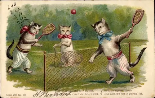 Präge Litho Katzen spielen Tennis, Tennisschläger, Tennisspiel