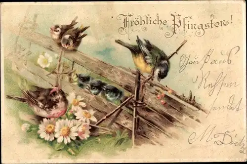 Litho Glückwunsch Pfingsten, Vögel, Blumen, Zaun