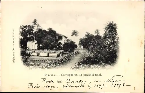 Ak Conakry Guinea, Camayenne, Le jardin d´essai