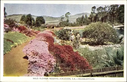 Ak Caledon Südafrika, Wild Flower Reserve, Veldblomtuin, Blumen, Pavillon