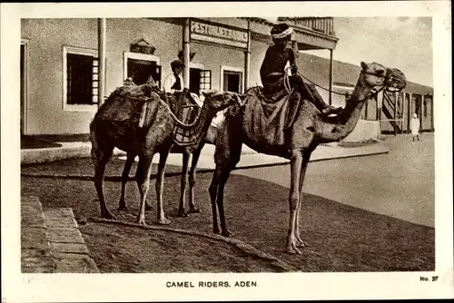 Ak Aden Jemen, Camel Riders