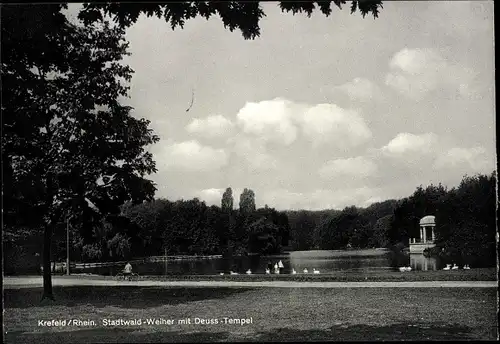 Ak Krefeld am Niederrhein, Stadtwald Weiher mit Deuss-Tempel, Schwäne
