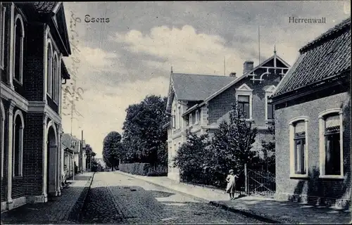 Ak Esens in Niedersachsen, Herrenwall, Straßenpartie, Gebäude