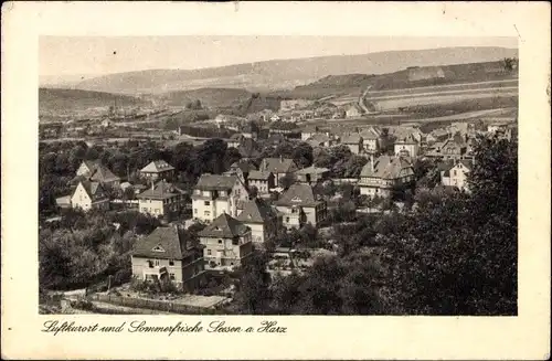 Ak Seesen in Niedersachsen, Panorama