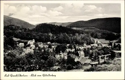 Ak Bad Grund im Harz, Blick vom Gittelderberg, Panorama