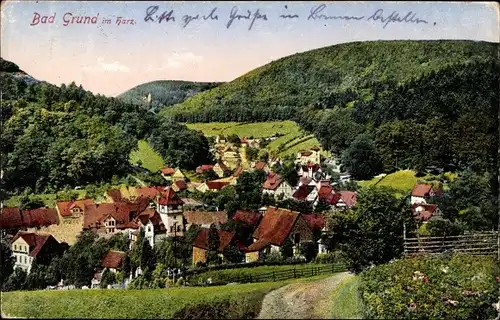 Ak Bad Grund im Harz, Panorama