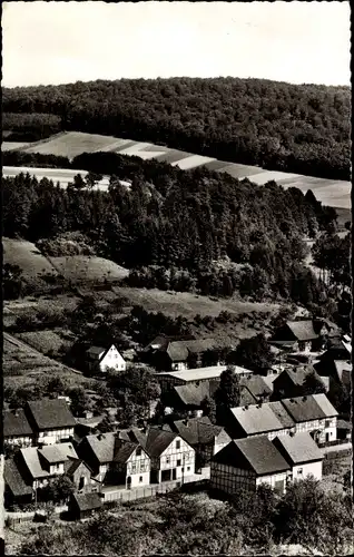 Ak Lauenberg Dassel in Niedersachsen, Blick auf den Petersberg, Panorama