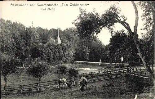 Ak Melle in Niedersachsen, Restauration und Sommerfrische Zum Waldmeister