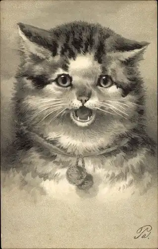 Präge Litho Katzenportrait, getigerte Katze mit Halsband