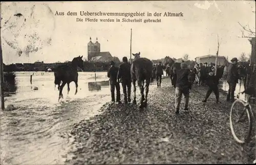 Ak Aus dem Überschwemmungsgebiet in der Altmarkt, Pferde werden in Sicherheit gebracht