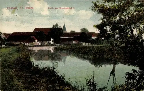 Ak Ebstorf in der Lüneburger Heide, Am Domänenteich