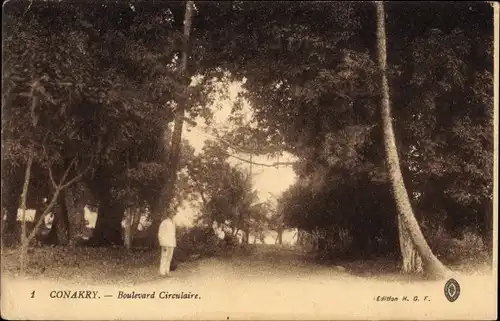 Ak Conakry Konakry Guinea, Boulevard Circulaire