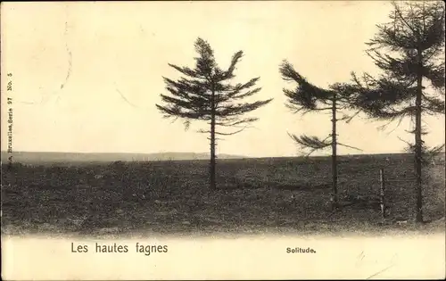 Ak Saint Trond Sint Truiden Flandern Limburg, Les hautes fagnes, Solitude