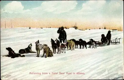 Ak Alaska, Returning from a Polar Bear Hunt in Alaska, Schlittenhunde