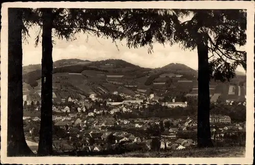 Ak Vsetín Wsetin Settein Region Zlin, Panorama, Blick durch die Bäume