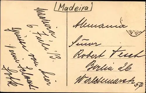 Ak Insel Madeira Portugal, Fortress and Palm Trees, Festung