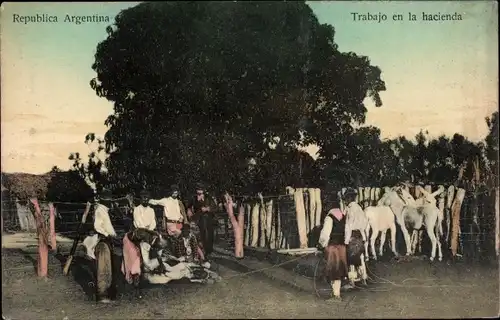 Ak Republica Argentina, Trabajo en la hacienda, Arbeit auf dem Bauernhof, Esel