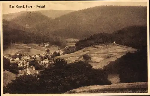 Ak Bad Grund im Harz, Kelstal