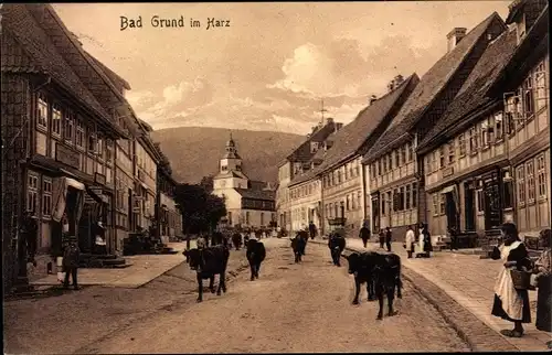 Ak Bad Grund im Harz, Straßenansicht