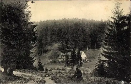 Ak Polstertal im Oberharz, Panorama