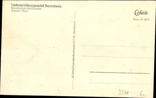 Ak Seesen am Harz, Sanatorium Schildautal,  Landesversicherungsanstalt Braunschweig