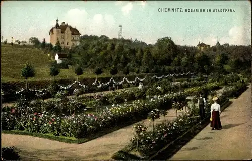 Ak Chemnitz in Sachsen, Rosarium im Stadtpark