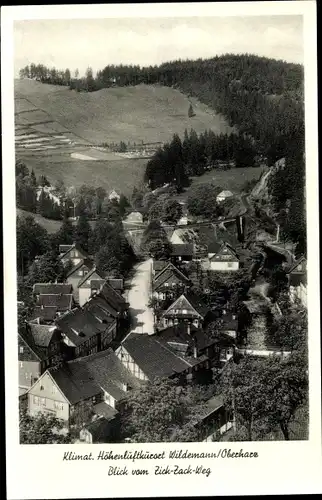 Ak Wildemann Clausthal Zellerfeld im Oberharz, Blick vom Zick Zack Weg