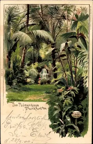 Künstler Litho Hartmann, A., Frankfurt am Main, Im Palmenhaus