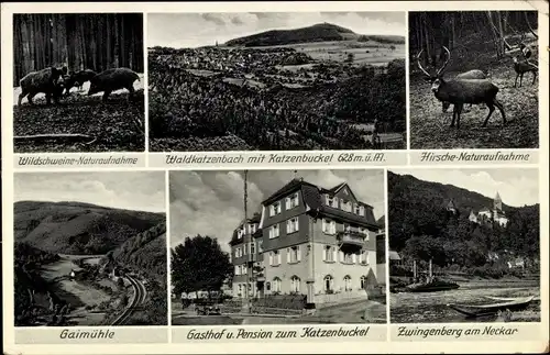 Ak Waldkatzenbach Waldbrunn im Odenwald, Gasthof und Pension zum Katzenbuckel, Gaimühle