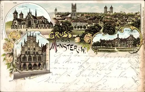 Litho Münster in Westfalen, Dom, Rathaus, königliches Schloss