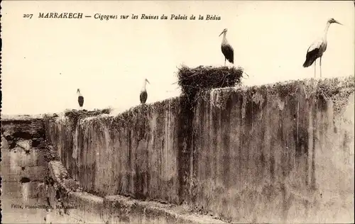 Ak Marrakesch Marokko, Cigognes sur les Ruines du Palais de la Bédia