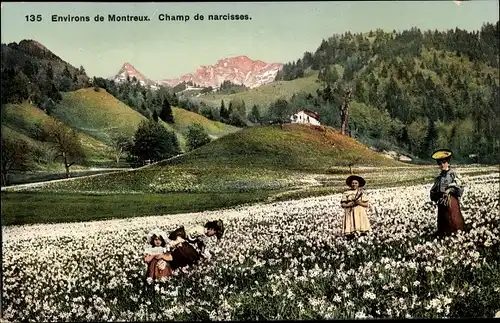 Ak Montreux Kanton Waadt Schweiz, Champ de narcisses