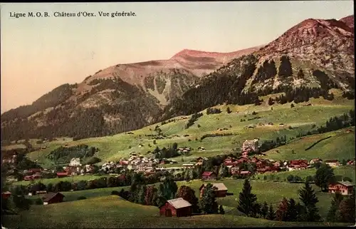 Ak Château d'Œx Oex Kanton Waadt, Gesamtansicht