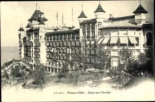 Ak Territet Montreux Kt. Waadt, Palace Hôtel