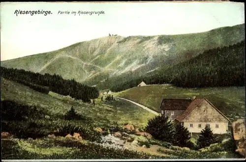 Ak Pec pod Sněžkou Petzer Riesengebirge Reg Königgratz, Partie im Riesengrund