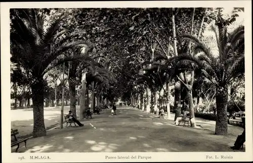 Ak Málaga Andalusien Spanien, Paseo lateral del Parque, Allee