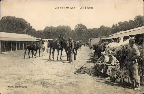 Ak Mailly le Camp Aube, Les Ecuries, Pferde
